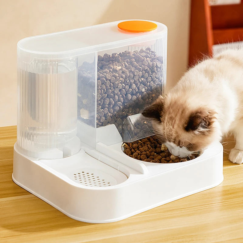 Large Capacity Cat Automatic Feeder - Zenvoy